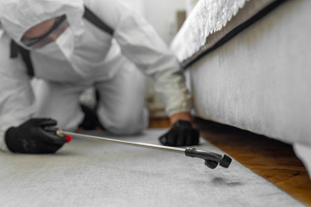 Professional Pest Control technician working in Palmyra, NJ